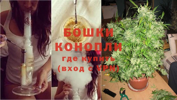 каннабис Абаза